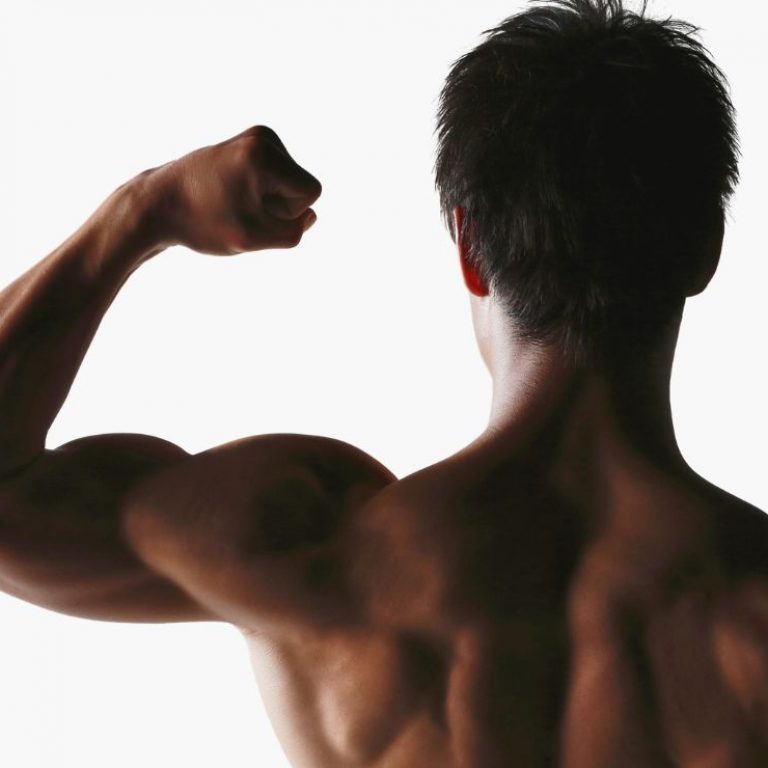Prótesis Musculares